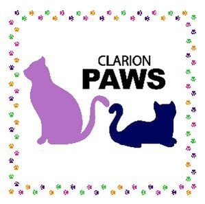Clarion PAWS